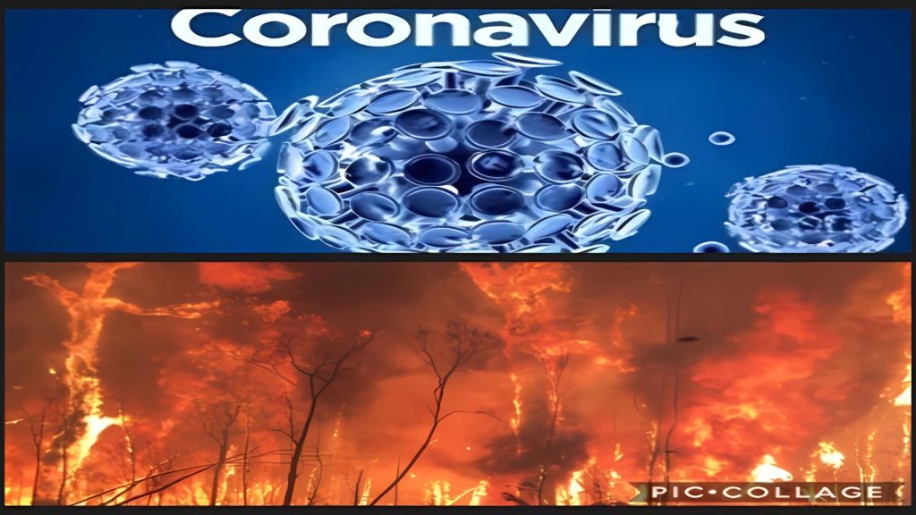 corona virus and fires